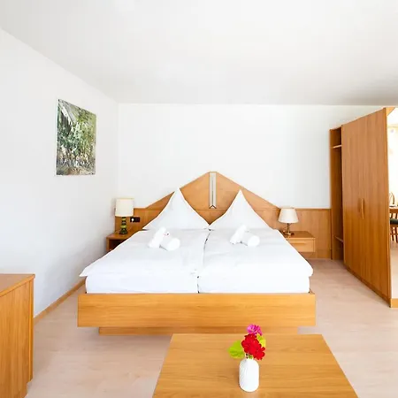 Schneckenhalde App 12 Apartmán