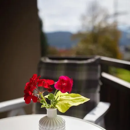 Schneckenhalde App 12 * Bad Säckingen